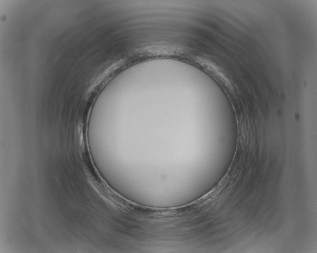 X0000080120398200612080936