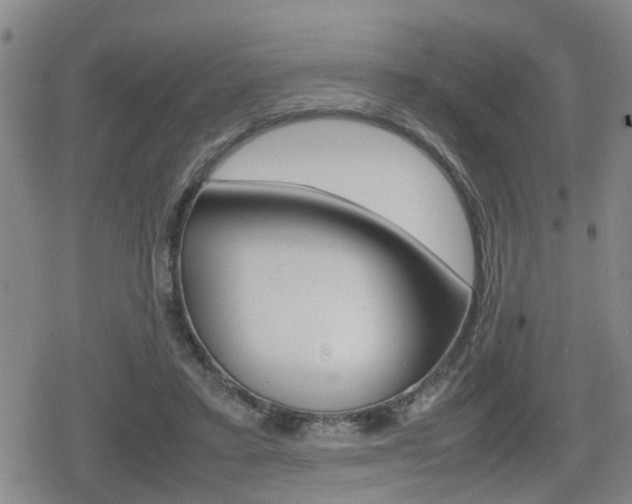 X0000080120403200612080936