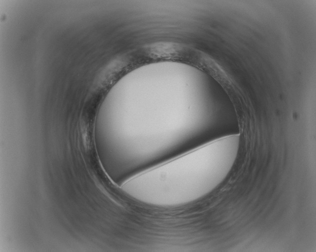 X0000080120408200612080936