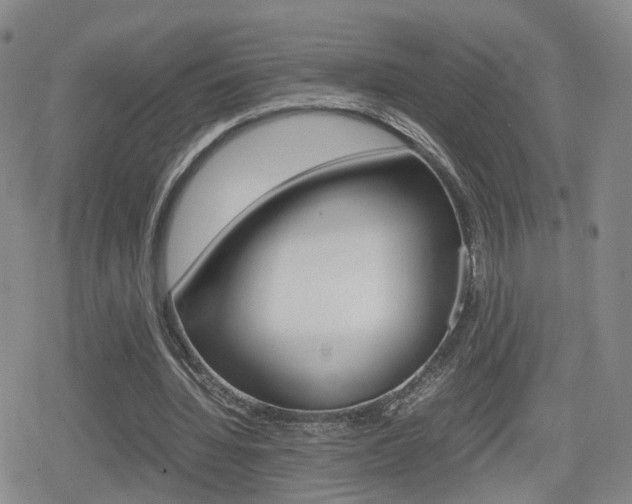 X0000080120436200612080935