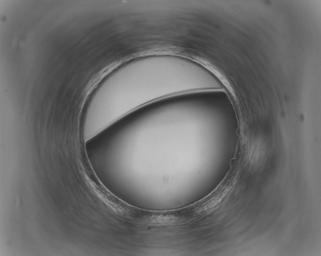 X0000080120437200612080935