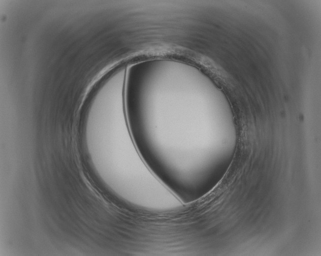 X0000080120440200612080935