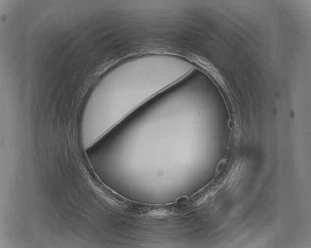X0000080120441200612080935