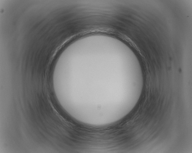 X0000080120444200612080935