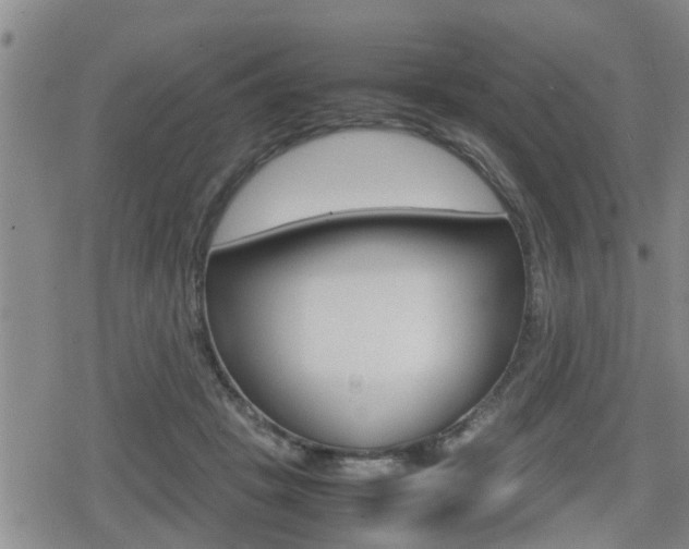 X0000080120457200612080935