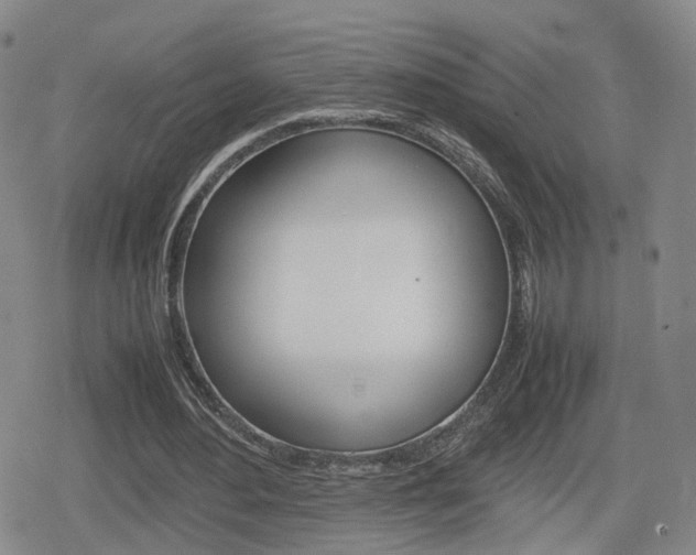 X0000080120484200612080935