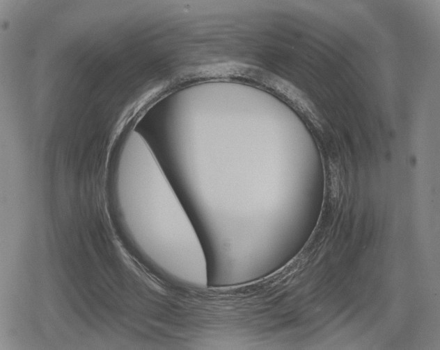 X0000080120486200612080935