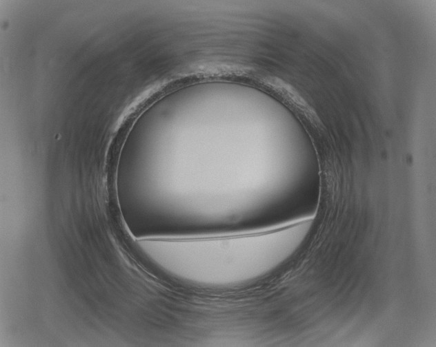 X0000080120488200612080935