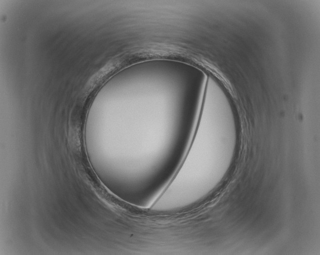 X0000080120489200612080935