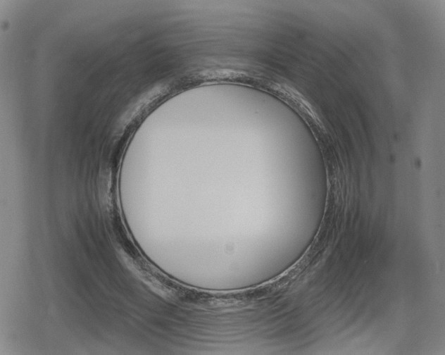 X0000080120490200612080935