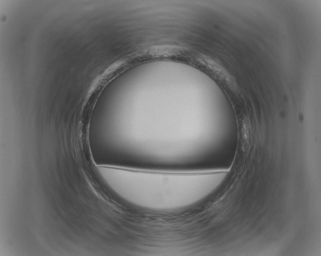 X0000080120492200612080935