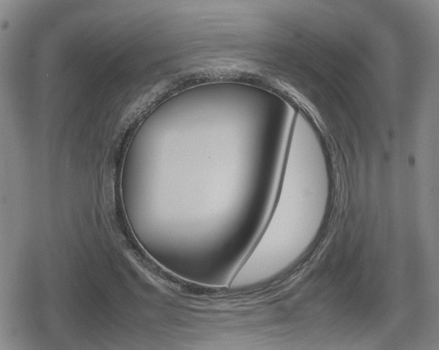 X0000080120493200612080935