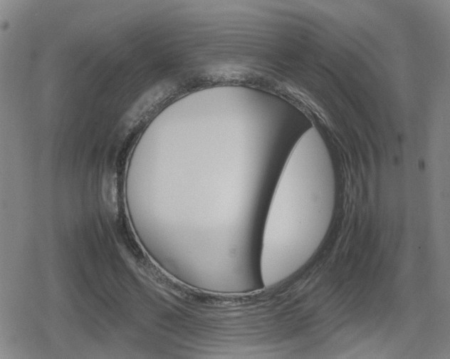X0000080120494200612080934