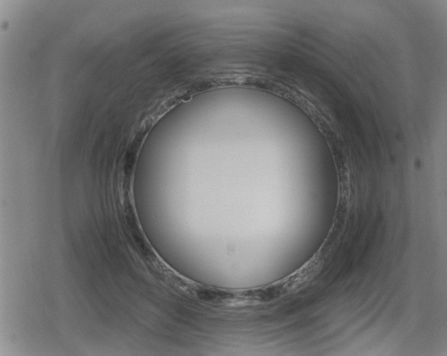 X0000080120504200612080934