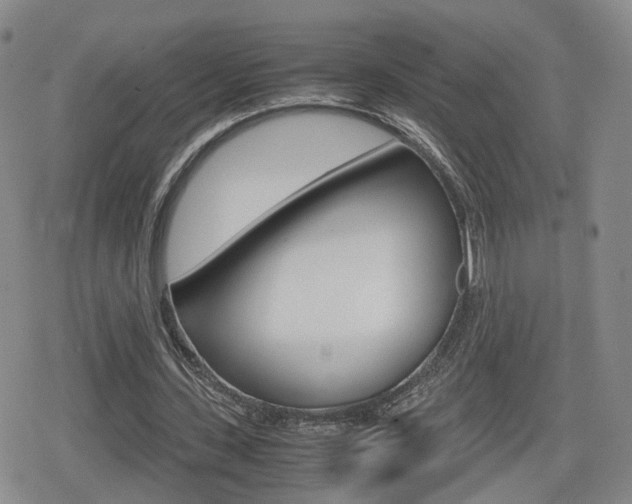 X0000080120531200612080933