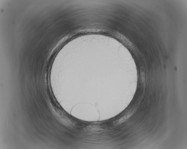 X0000080120534200612080933