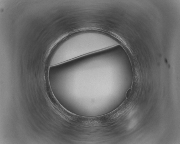 X0000080120535200612080933