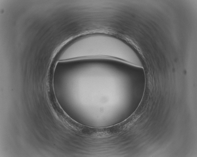 X0000080120536200612080933