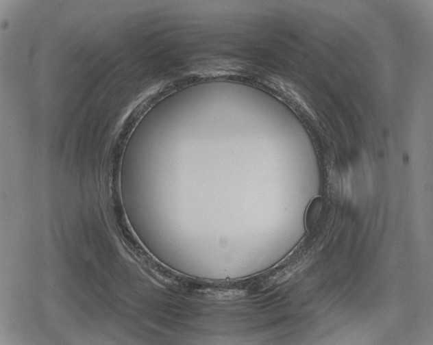 X0000080120539200612080933