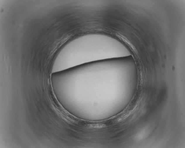 X0000080120541200612080933