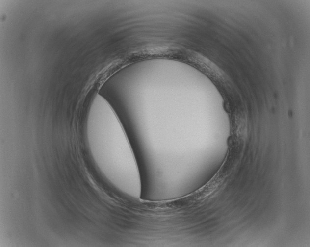 X0000080120542200612080933