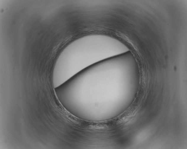X0000080120545200612080933