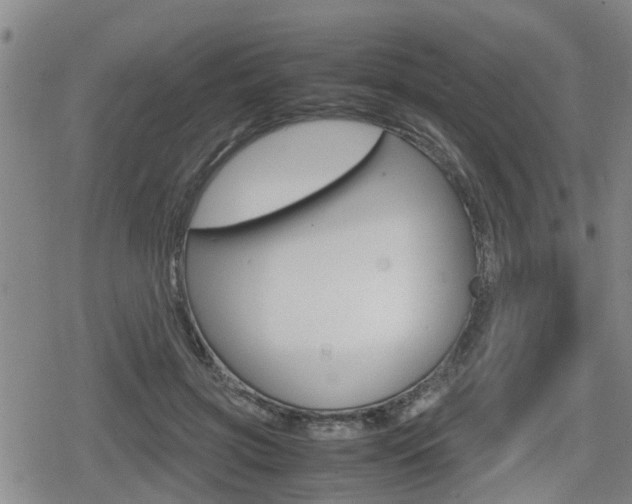 X0000080120549200612080933