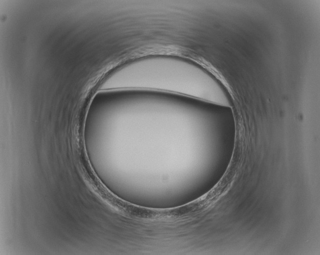X0000080120581200612080933