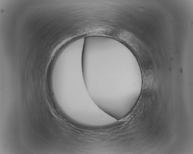 X0000080120583200612080933