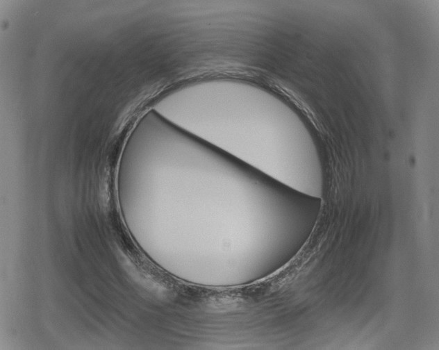 X0000080120586200612080933
