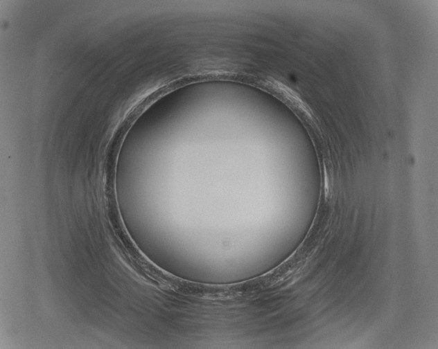 X0000080120627200612080932