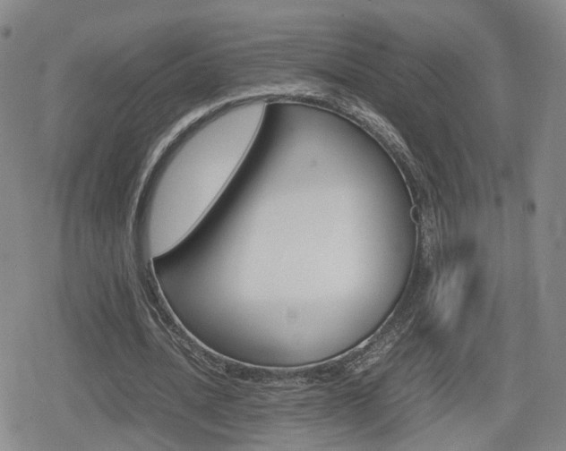 X0000080120628200612080932