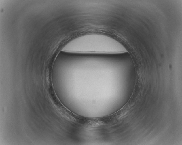 X0000080120642200612080932
