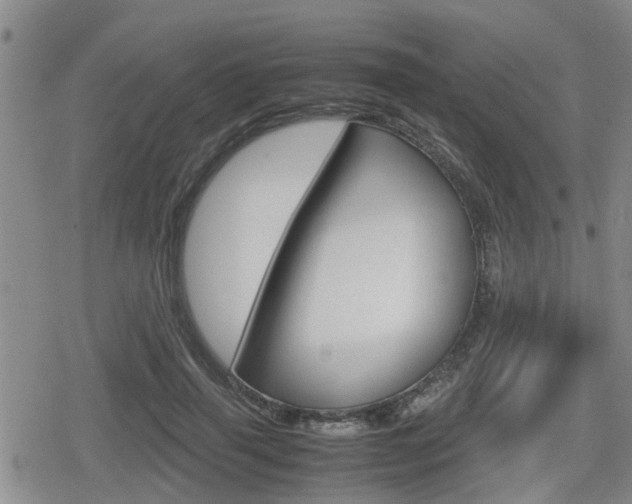 X0000080120645200612080932