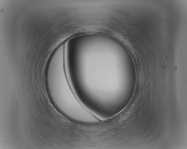 X0000080120673200612080932