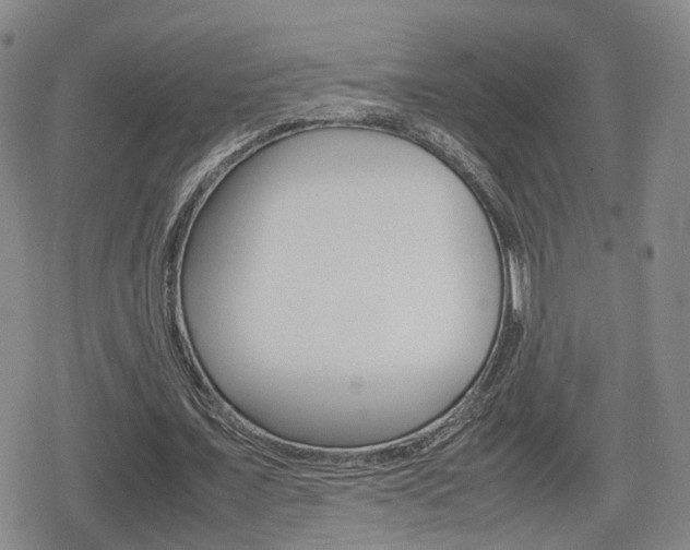 X0000080120675200612080932