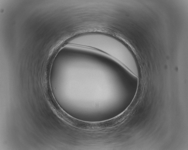 X0000080120677200612080932