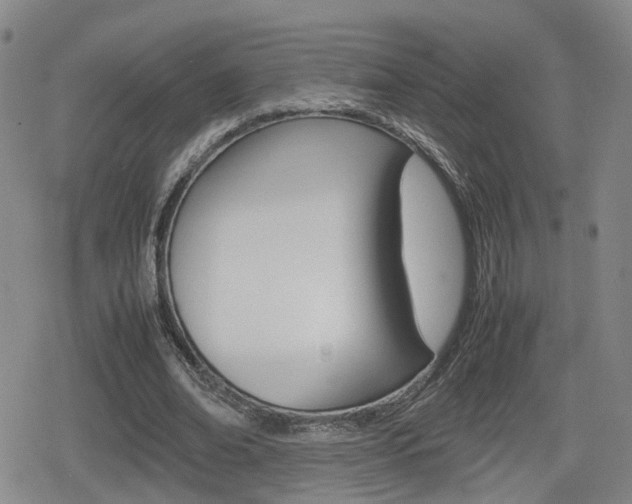 X0000080120678200612080931