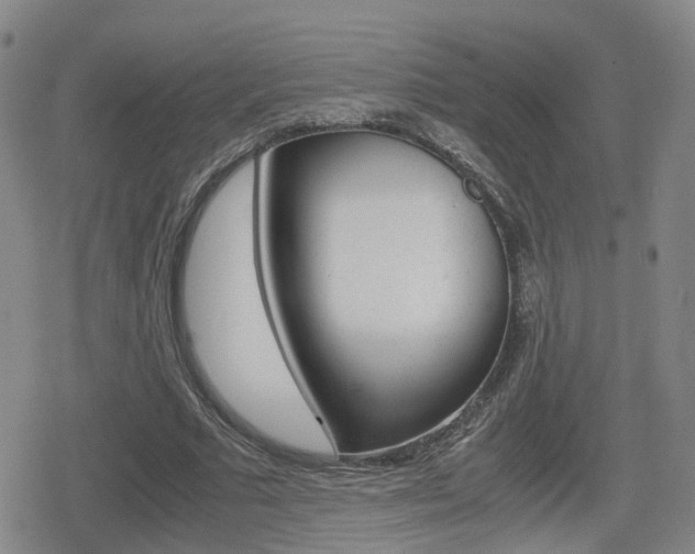 X0000080120681200612080931