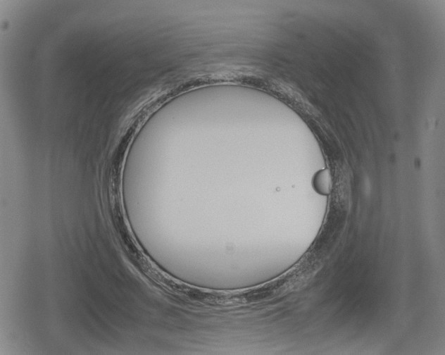 X0000080120683200612080931
