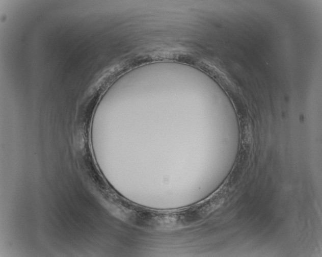 X0000080120687200612080931