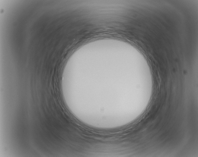 X0000080120705200612080931