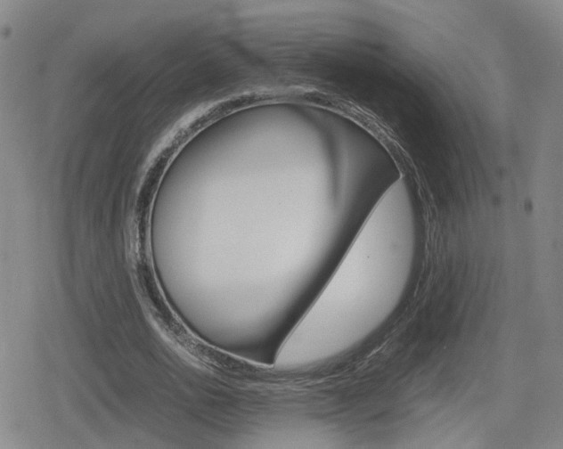 X0000080120726200612080930
