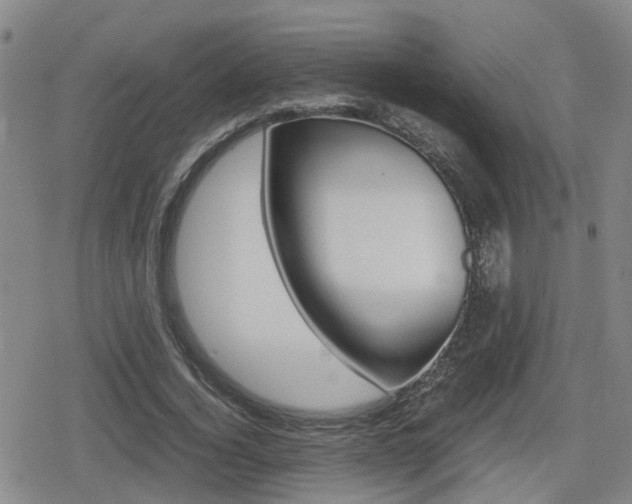 X0000080120732200612080930