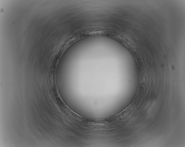 X0000080120743200612080930