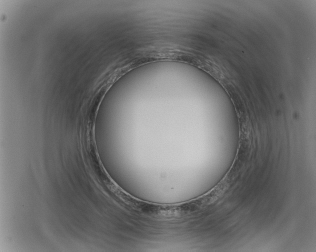 X0000080120744200612080930