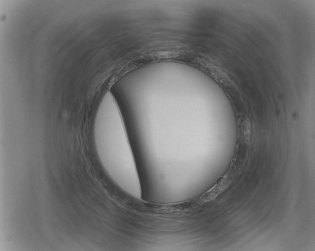X0000080120746200612080930