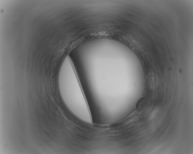 X0000080120747200612080930