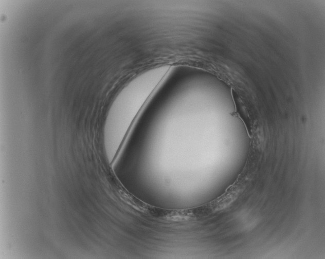 X0000080120756200612080931
