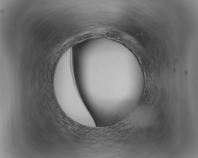 X0000080120773200612080930